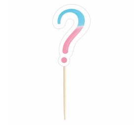 Amscan Gender Reveal Party Picks 9cm | 24 pieces