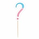 Amscan Gender Reveal Party Picks 9cm | 24 pieces
