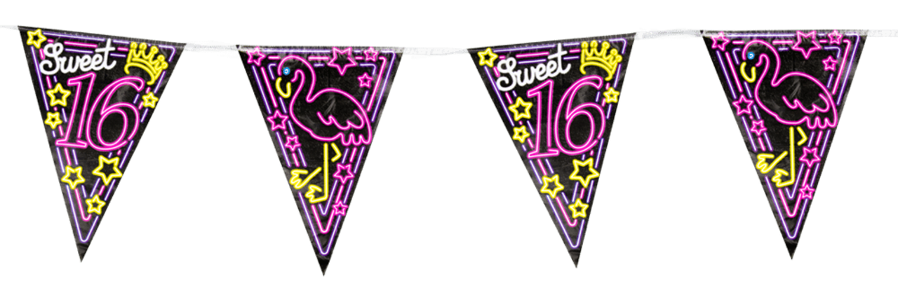 Paper Dreams Guirlande lumineuse néon pour Sweet 16 | 10 mètres