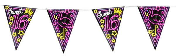 Paper Dreams Guirlande lumineuse néon pour Sweet 16 | 10 mètres