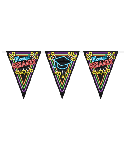 Paper Dreams Graduation Neon Garland | 10 meters