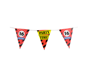 Paper Dreams Panneau de signalisation « Guirlande 16 ans » | 10 m