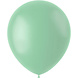 Ballons pistache 33 cm | 10 pièces