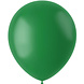 Folat Ballons vert foncé 33 cm | 10 pièces