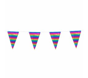 Vlaggenlijn regenboog metallic | 10m Vlaggenlijn regenboog metallic | 10m