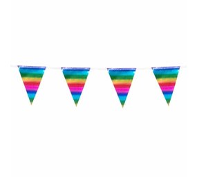 Boland Mini Vlaggenlijn Slinger Metallic Regenboog Kleuren 14x300cm | per stuk Boland Mini Vlaggenlijn Slinger Metallic Regenboog Kleuren 14x300cm | per stuk