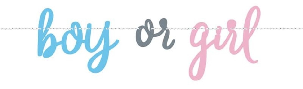 Unique Party Gender Reveal "Balloons" Letterslinger Boy or Girl | per stuk Unique Party Gender Reveal "Balloons" Letterslinger Boy or Girl | per stuk
