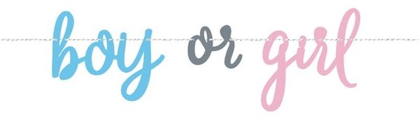 Unique Party Gender Reveal "Balloons" Letterslinger Boy or Girl | per stuk Unique Party Gender Reveal "Balloons" Letterslinger Boy or Girl | per stuk