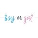 Letter Slinger Gender Reveal Balloons | 213cm Letter Slinger Gender Reveal Balloons | 213cm