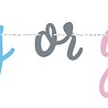 Unique Party Guirlande de lettres « Ballons » pour révélation du sexe : garçon ou fille | à l’unité Unique Party Guirlande de lettres « Ballons » pour révélation du sexe : garçon ou fille | à l’unité