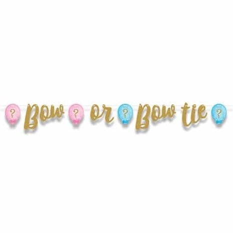Gender Reveal Garland | 163cm
