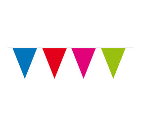Vlaggen slinger Multi Kleuren XL | 10 meter