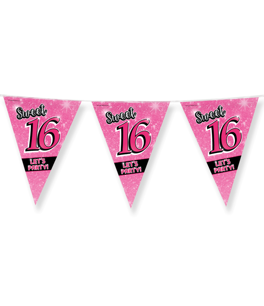 Sweet 16 Pink Garland | 10 meters