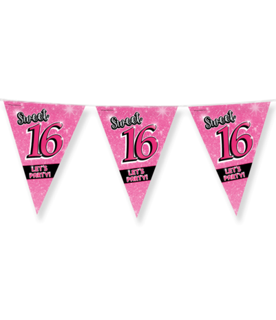 Guirlande rose pour Sweet 16 | 10 mètres