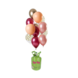Tuf-Tuf Helium tank met 24 rich ruby ballonnen Tuf-Tuf Helium tank met 24 rich ruby ballonnen
