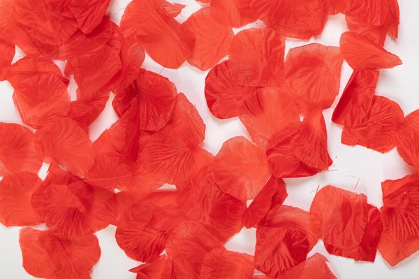 WeFiesta Luxuriöse rote Rosenblätter | 144 Stück