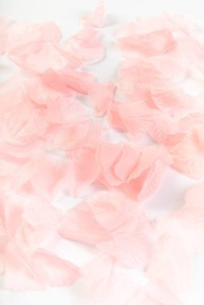 WeFiesta Pétales de roses rose clair de luxe | 144 pièces