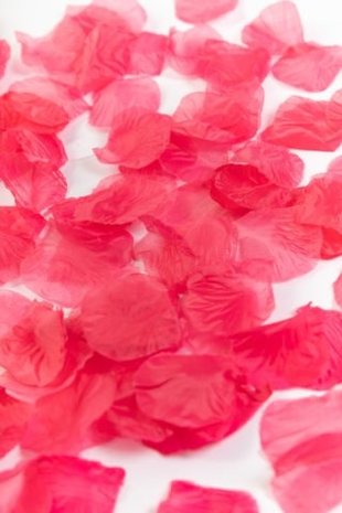 WeFiesta Luxury hot pink rose petals | 144 pieces