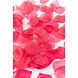WeFiesta Pétales de roses rose vif de luxe | 144 pièces