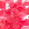 WeFiesta Luxuriöse, leuchtend pinkfarbene Rosenblätter | 144 Stück