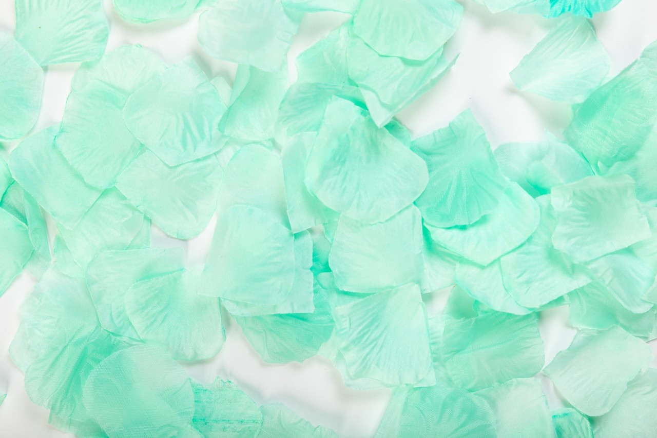 WeFiesta Luxuriöse mintgrüne Rosenblätter | 144 Stück