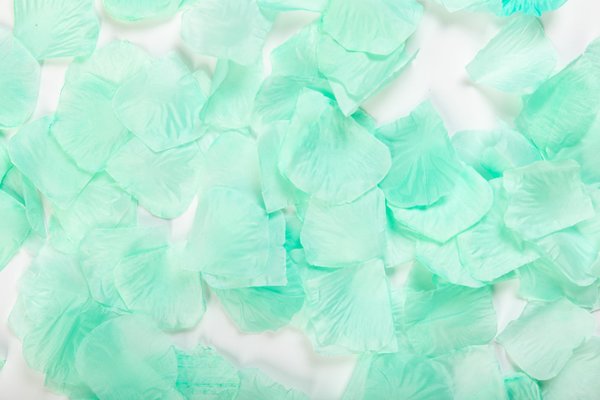 WeFiesta Luxury mint green rose petals | 144 pieces