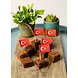 WeFiesta Brochettes de Turquie aux couleurs du drapeau turc | 50 pièces