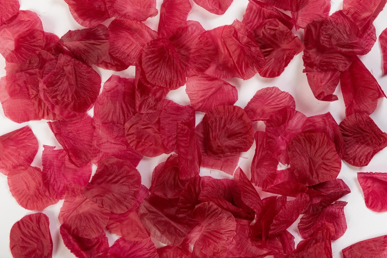 WeFiesta Burgundy rose petals | 144 pieces