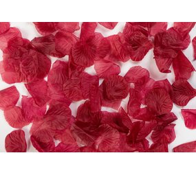 WeFiesta Burgundy rose petals | 144 pieces