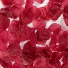 WeFiesta Bordeauxrote Rosenblätter | 144 Stück WeFiesta Bordeauxrote Rosenblätter | 144 Stück