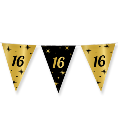 Paper Dreams Flag Garland 16 years Classy | 10 meters