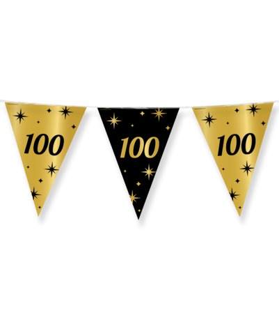 Paper Dreams Guirlande de drapeaux 100 ans d'élégance | 10 mètres Paper Dreams Guirlande de drapeaux 100 ans d'élégance | 10 mètres