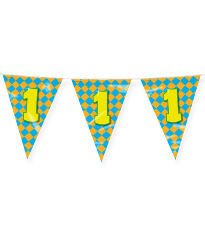 Paper Dreams Vlaggenlijn Slinger 1 jaar Party 10 mtr | per stuk Paper Dreams Vlaggenlijn Slinger 1 jaar Party 10 mtr | per stuk
