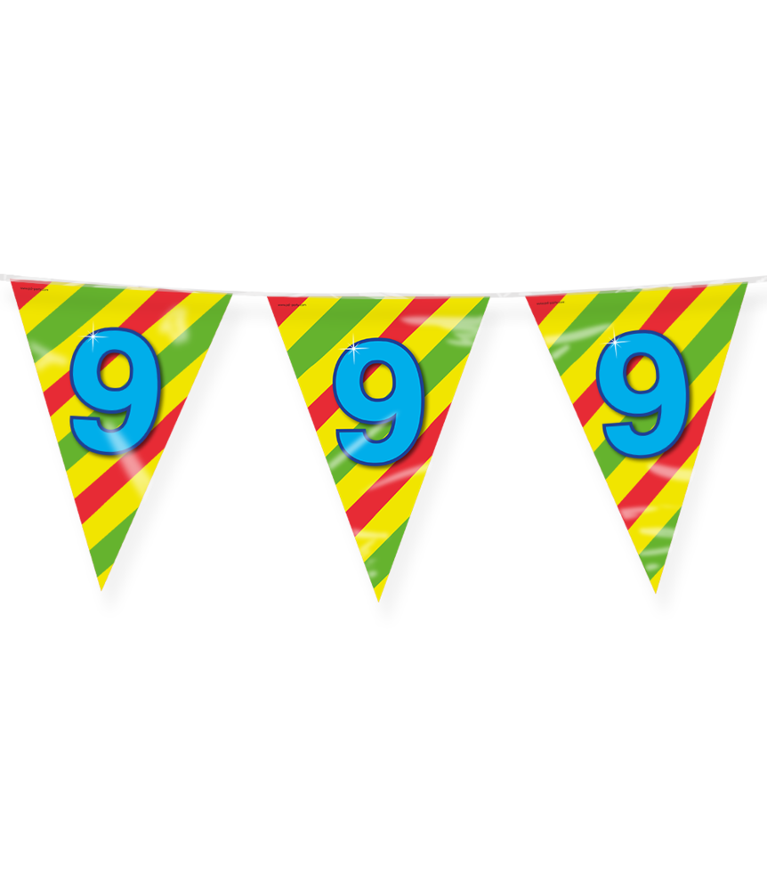 Paper Dreams Vlaggenlijn Slinger 9 jaar Party 10 mtr | per stuk Paper Dreams Vlaggenlijn Slinger 9 jaar Party 10 mtr | per stuk