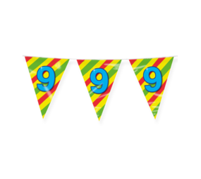 Paper Dreams Vlaggenlijn Slinger 9 jaar Party 10 mtr | per stuk Paper Dreams Vlaggenlijn Slinger 9 jaar Party 10 mtr | per stuk