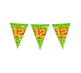 Paper Dreams Flag Garland 12 Years Party 10 m | per piece