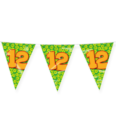Paper Dreams Flag Garland 12 Years Party 10 m | per piece Paper Dreams Flag Garland 12 Years Party 10 m | per piece