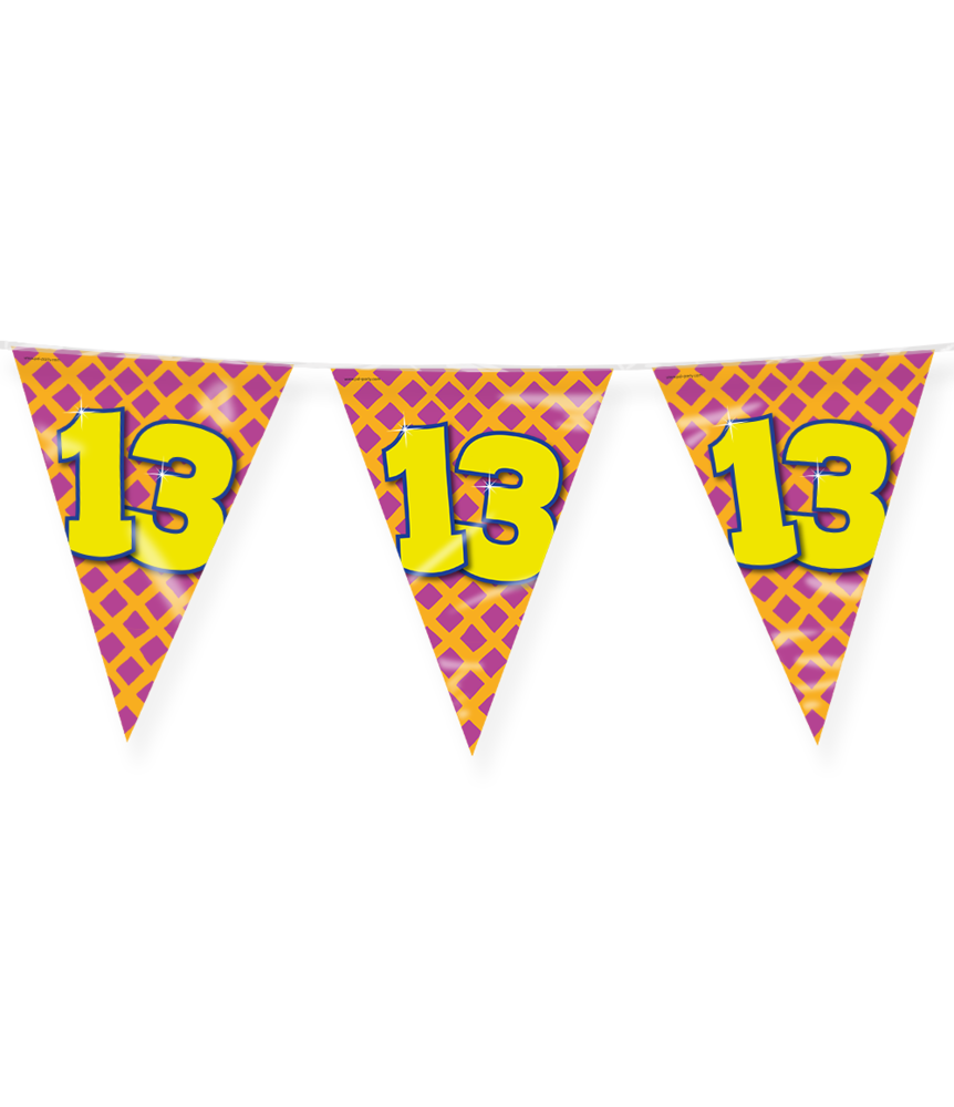 Paper Dreams Flag Garland 13 Years Party 10 m | per piece Paper Dreams Flag Garland 13 Years Party 10 m | per piece
