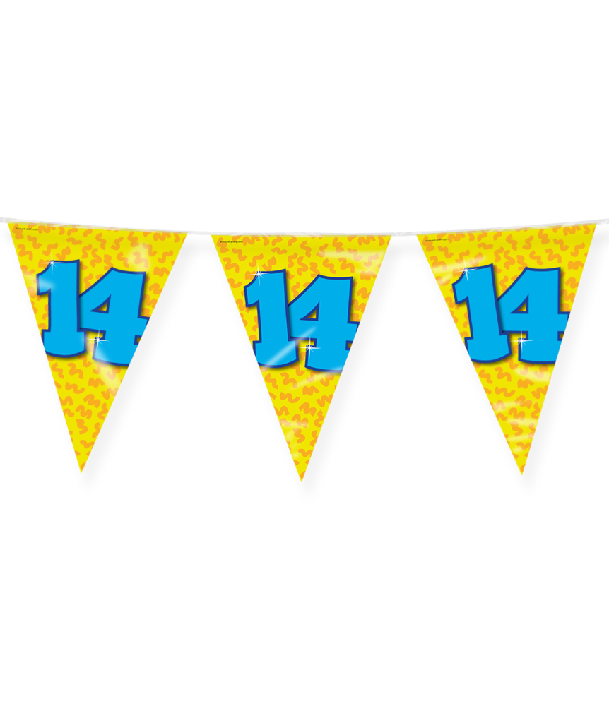 Paper Dreams Vlaggenlijn Slinger 14 jaar Party 10 mtr | per stuk Paper Dreams Vlaggenlijn Slinger 14 jaar Party 10 mtr | per stuk