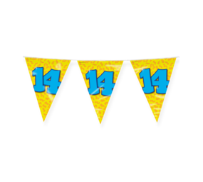 Paper Dreams Flag Garland 14 Years Party 10 m | per piece