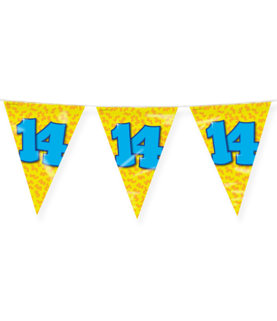 Paper Dreams Vlaggenlijn Slinger 14 jaar Party 10 mtr | per stuk Paper Dreams Vlaggenlijn Slinger 14 jaar Party 10 mtr | per stuk
