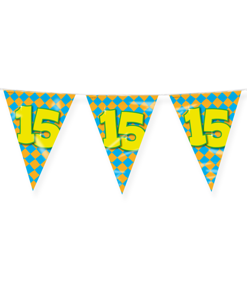 Paper Dreams Vlaggenlijn Slinger 15 jaar Party 10 mtr | per stuk Paper Dreams Vlaggenlijn Slinger 15 jaar Party 10 mtr | per stuk