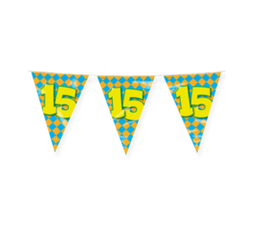 Paper Dreams Vlaggenlijn Slinger 15 jaar Party 10 mtr | per stuk Paper Dreams Vlaggenlijn Slinger 15 jaar Party 10 mtr | per stuk