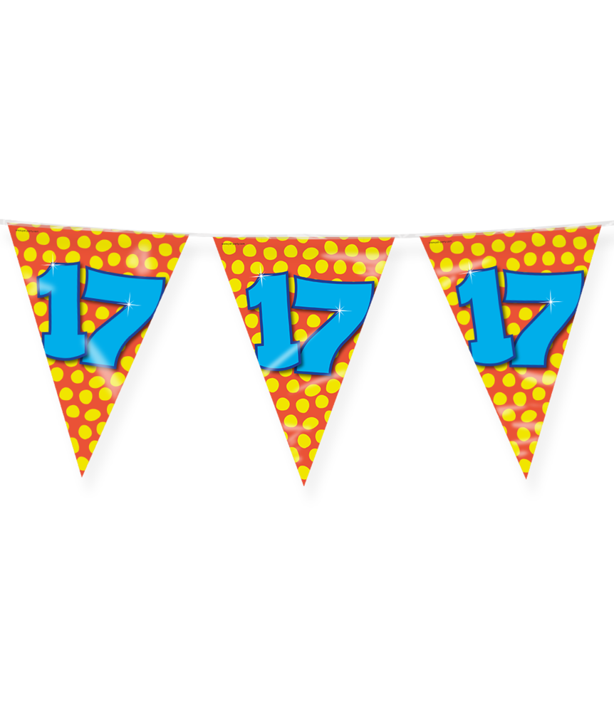 Paper Dreams Guirlande de fanions pour fête de 17 ans, 10 m | à l'unité Paper Dreams Guirlande de fanions pour fête de 17 ans, 10 m | à l'unité
