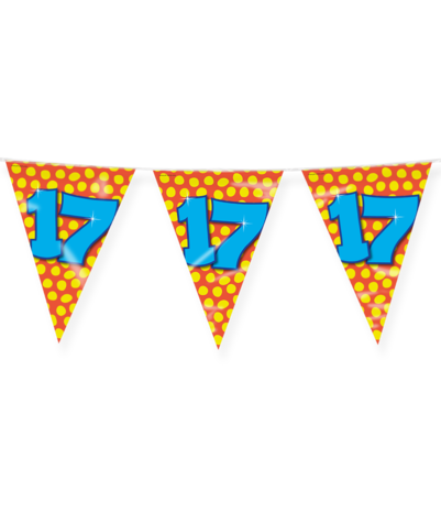 Paper Dreams Vlaggenlijn Slinger 17 jaar Party 10 mtr | per stuk