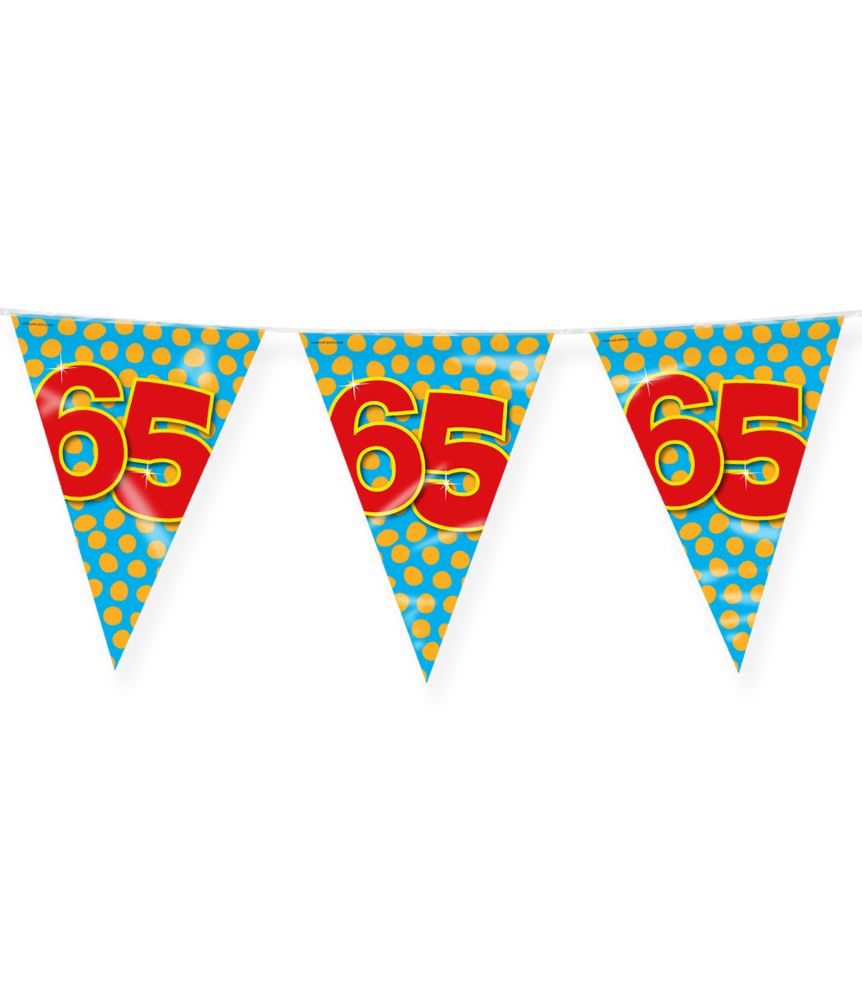 Paper Dreams Flag Garland 65 Years Party 10 m | per piece