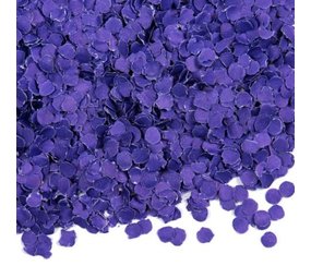 WeFiesta Paarse confetti papier | 100gr WeFiesta Paarse confetti papier | 100gr