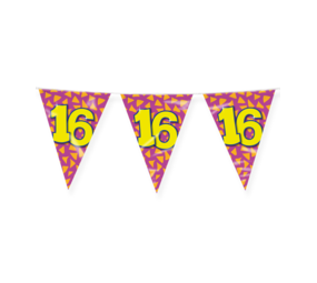 Paper Dreams Vlaggenlijn Slinger 16 jaar Party 10 mtr | per stuk Paper Dreams Vlaggenlijn Slinger 16 jaar Party 10 mtr | per stuk