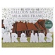 Ginger Ray Balloon mosaic stands MR & MRS | set