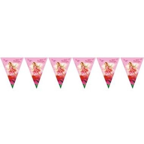 Procos Party Barbie Fairy flag garland | 4 meters